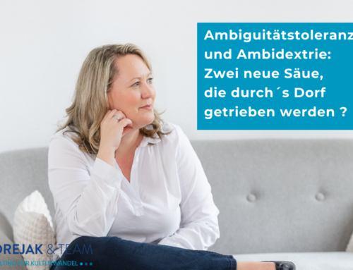 Ambiguitätstoleranz und Ambidextrie: Zwei neue Säue, die durchs Dorf getrieben werden?